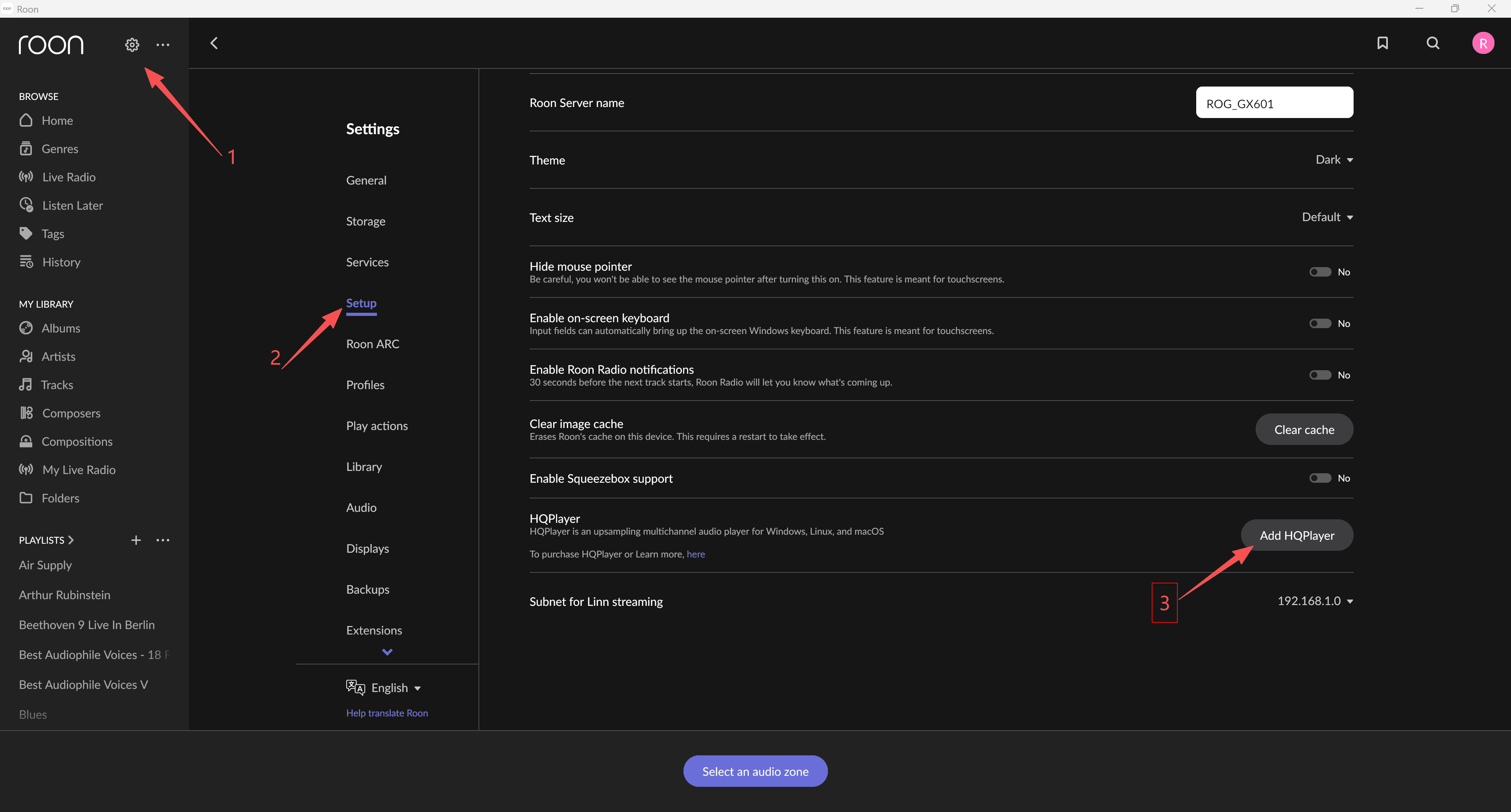 Roon Settings open to the Audio tab